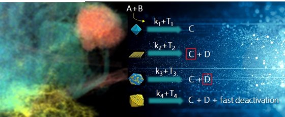 Bimetallic nanocatalysts supported on graphitic carbon nitride for sustainable energy development: the shape-structure–activity relation 